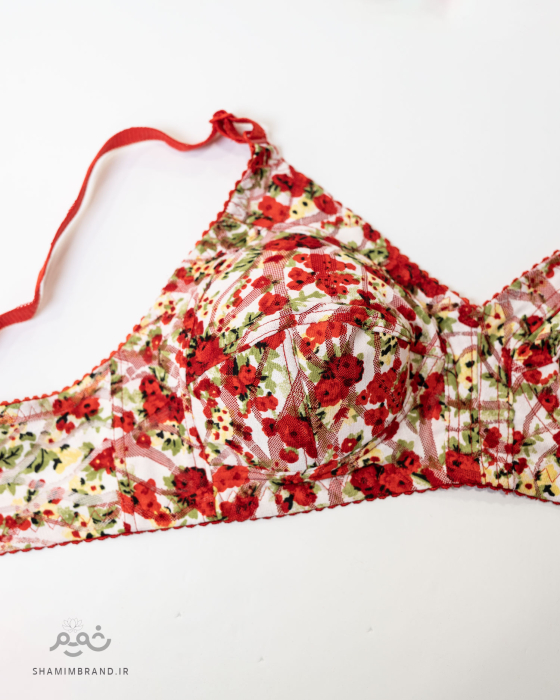 سوتین تور ابرنگی (1520)