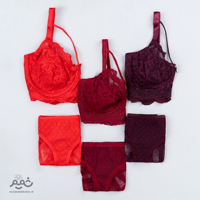 ست شرت سوتین توری  (5005)